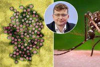 Virus Zika, dengue, malárie: Češi si vozí z dovolenkových rájů nepříjemné „suvenýry“