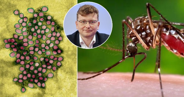 Virus Zika, dengue, malárie: Češi si vozí z dovolenkových rájů nepříjemné „suvenýry“