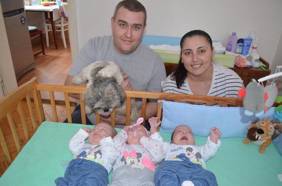 Konečně šťastní  - Jolana a Dalibor se po letech dočkali - narodila se rovnou trojčata.