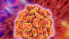 Trombóza: Nebezpečná „cestovní“ nemoc