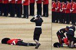 Člen britské královské gardy omdlel při prohlídce.