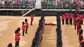 Členové britské královské gardy jsou celkem padavky.
