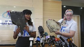 Příbuzní cestujících ze zmizelého letu MH370 společnosti Malaysia Airlines předali úřadům kusy trosek, které podle jejich přesvědčení pocházejí z letounu. Chtějí nové pátrání. Letadlo se ztratilo  v březnu 2014 na trase z Kuala Lumpuru do Pekingu s 239 lidmi na palubě.