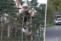 Na Berounsku spadl horkovzdušný balon s pěti lidmi: Zamotal se do korun stromů