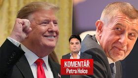 Americký prezident Donald Trump a český premiér Andrej Babiš (ANO) se setkají v Bílém domě. Jak to vidí Petr Holec?