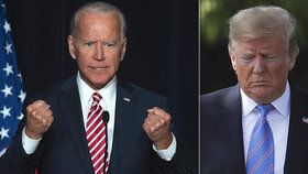 Bývalý americký viceprezident Joe Biden, který je favoritem na demokratickou nominaci do boje o Bílý dům, má o 11 procent vyšší preference než dosavadní prezident Donald Trump.