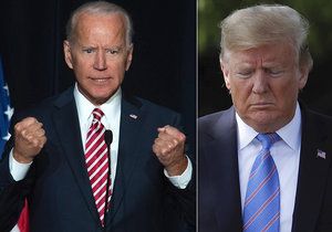 Bývalý americký viceprezident Joe Biden, který je favoritem na demokratickou nominaci do boje o Bílý dům, má o 11 procent vyšší preference než dosavadní prezident Donald Trump.