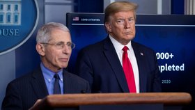 Anthony Fauci a Donald Trump