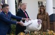 Prezident Spojených států Donald J. Trump a první dáma Melania Trumpová v úterý 26. listopadu 2019 v Růžové zahradě Bílého domu ve Washingtonu vypouští krocana na národní den díkůvzdání.