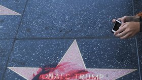 Trumpovi někdo znečistil hvězdu v Hollywoodu.