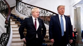 Trump Johnsonovi přislíbil po brexitu velkou obchodní dohodu ((25. 8. 2019)