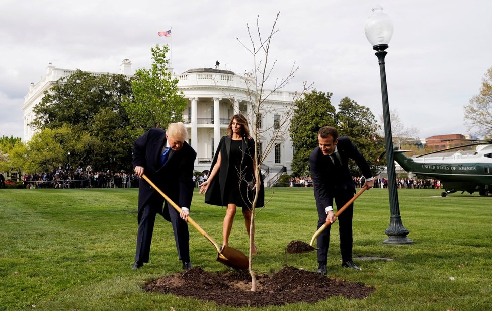 Sázení stromu přátelství během návštěvy prezidenta Macrona v Bílém domě. Dub později ze zahrady zmizel, ocitl se údajně v karanténě.