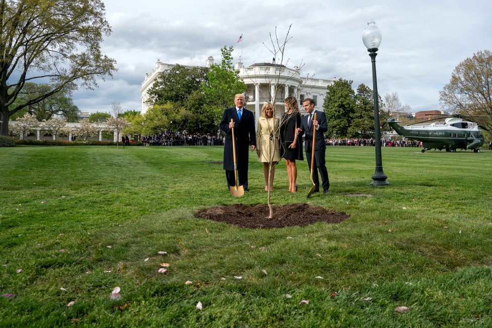 Sázení stromu přátelství během návštěvy prezidenta Macrona v Bílém domě. Dub později ze zahrady zmizel, ocitl se údajně v karanténě.