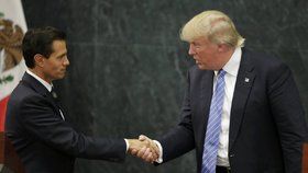 Mexický prezident Nieto a nastupující americký prezident Donald Trump si jistě mají co říct.