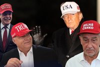 Průzkum: Putin největší hrozbou, ale… Trumpův nátlak děsí jeho fanoušky v Evropě!