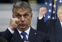 Orbán si volal s Trumpem. Smáli se černým ovcím a Maďar má pozvání do USA