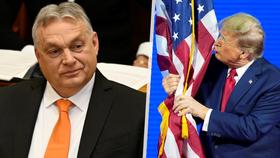 Trump vyjádřil podporu Orbánovi, chce s ním úzce spolupracovat