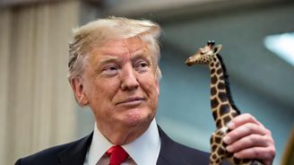 Trump absolvoval lékařský test způsobilosti. Nakreslil kolečko a po vyšetření dostal figurku žirafy Trump absolvoval lékařský test způsobilosti. Nakreslil kolečko a po vyšetření dostal figurku žirafy