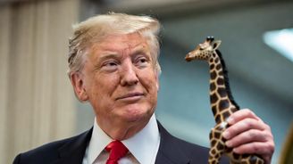 Trump absolvoval lékařský test způsobilosti. Nakreslil kolečko a po vyšetření dostal figurku žirafy Trump absolvoval lékařský test způsobilosti. Nakreslil kolečko a po vyšetření dostal figurku žirafy