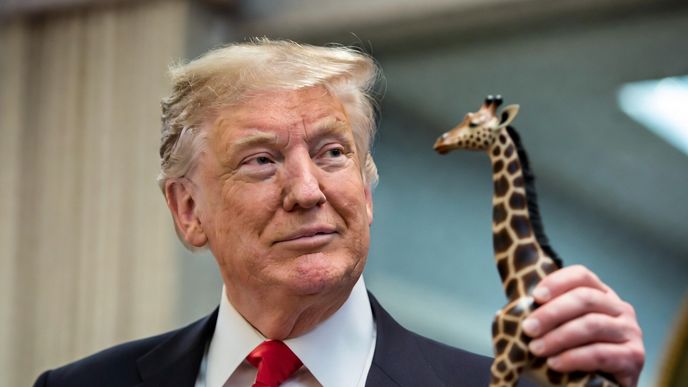 Donald Trump Donald Trump
