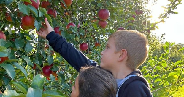 Ještě v sobotu se synem Theodorem sbírali jablka.