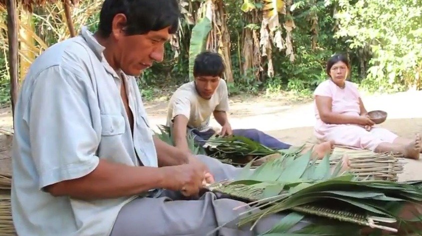 Příslušníci indiánského kmene Tsimane žijí primitivním způsobem, přesto mají nejzdravější srdce na světě.