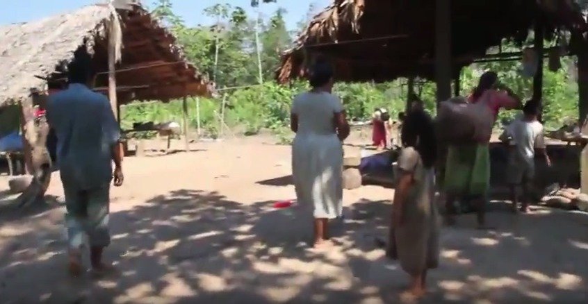 Příslušníci indiánského kmene Tsimane žijí primitivním způsobem, přesto mají nejzdravější srdce na světě.