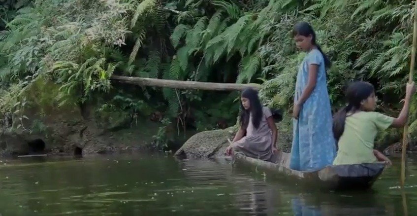 Příslušníci indiánského kmene Tsimane žijí primitivním způsobem, přesto mají nejzdravější srdce na světě.