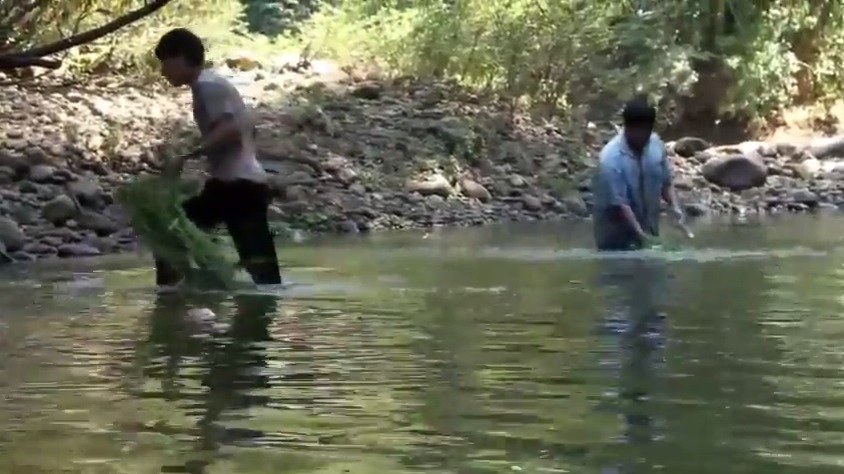 Příslušníci indiánského kmene Tsimane žijí primitivním způsobem, přesto mají nejzdravější srdce na světě.