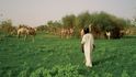 Za tajemstvím pánů pouště: Kam vedou cesty Tuaregů
