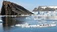 I okolí Nebezpečných ostrovů (Danger Islands) na Antarktidě obývají tučňáci.