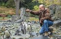 Ředitel zoo Mirek Bobek servíruje svačinku tučňákům