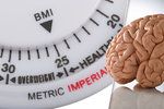 Vědci ve studii objevili spojitost mezi BMI a velikostí mozku