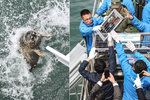 Na odlehlé farmě bylo 100 vyhladovělých mláďat tuleně: Do přírody se vrátilo pouze 64