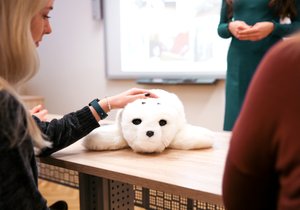 Ostravská univerzita zapojí do výuky terapeutického robotického tuleně. Studenti díky němu uvidí moderní technologie v praxi a poznají jejich možnosti.