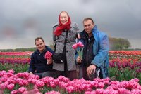 Jedinečný tulipán vyšlechtěný pro Frýdek-Místek: Připomíná historii významné rodiny