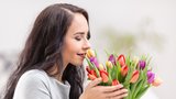 Díky těmto trikům vám vydrží tulipány ve váze dlouho krásné