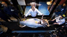 Majitel sushi restaurace v Japonsku vydražil tuňáka za 40 milionů korun.