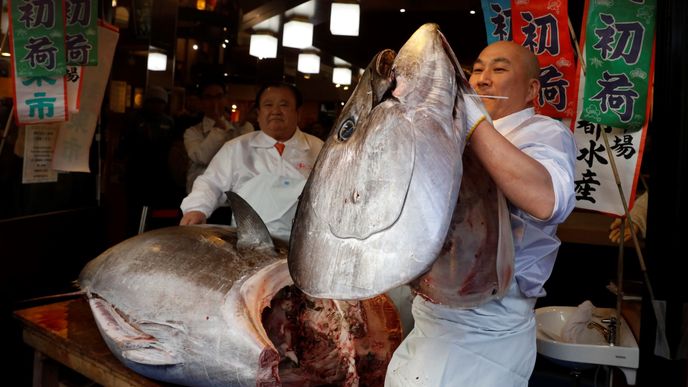 Novoroční aukce tuňáka v Tokiu