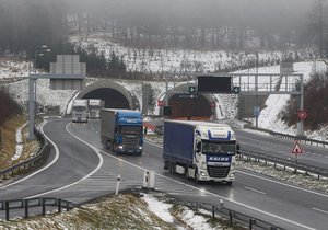 Kamion zastavil za Prahou a vypustil asijské migranty. Policisté po jednom pátrají, mají podezření na kožní nemoc. (ilustrační foto)