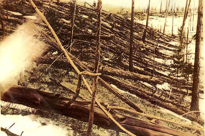 Zkáza lesa způsobená výbuchem, fotografie&nbsp;Kulikovy&nbsp;výpravy z roku 1927