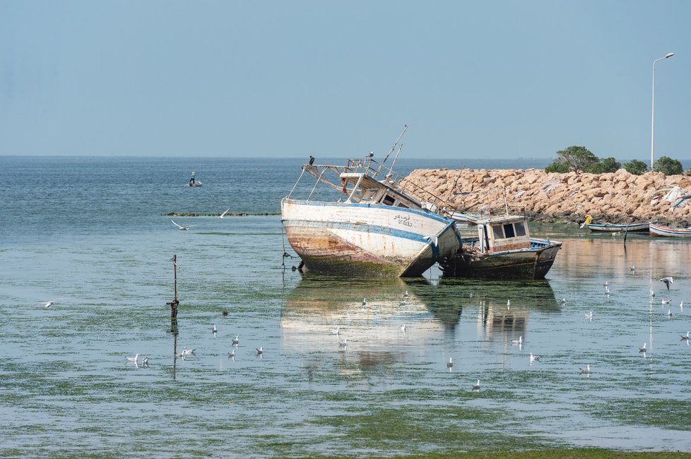 Tunisko patří mezi neoblíbenější dovolenkové destinace českých turistů.