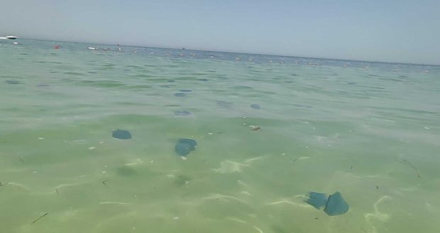 Návštěvníky pláže v letovisku Port El Kantaoui v Tunisku překvapila invaze medúz.