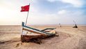 50 °C panuje v oblasti jezera šot al-Džaríd při ročních srážkách 100 mm