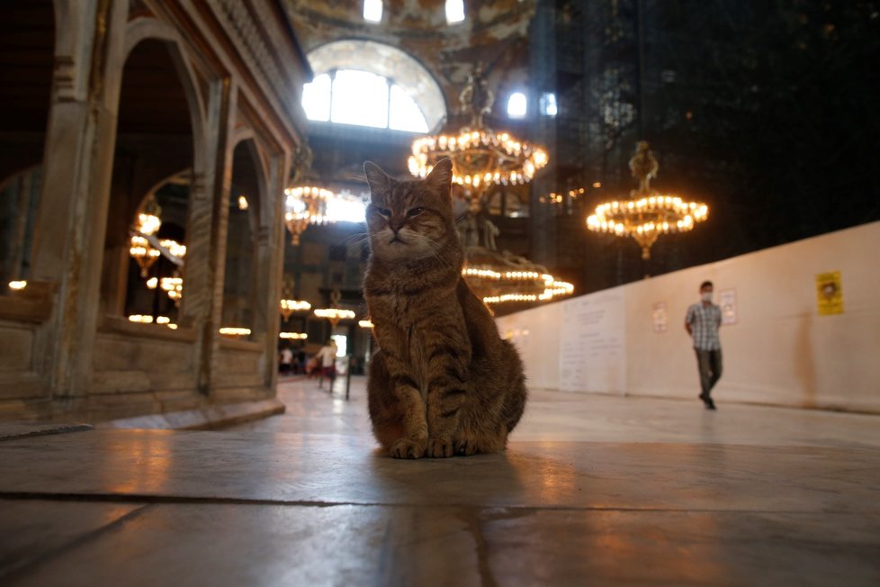 Turecký chrám Hagia Sofia, který slouží jako muzeum, se smí přeměnit na mešitu. (10.7.2020)