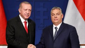 Turecký prezident Recep Tayyip Erdogan a maďarský premiér Viktor Orbán během návštěvy Maďarska (7. 11. 2019)