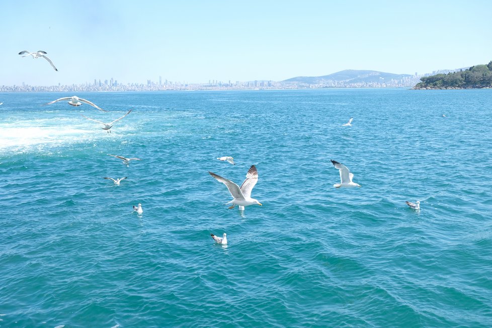 Istanbul, výhled z lodě.