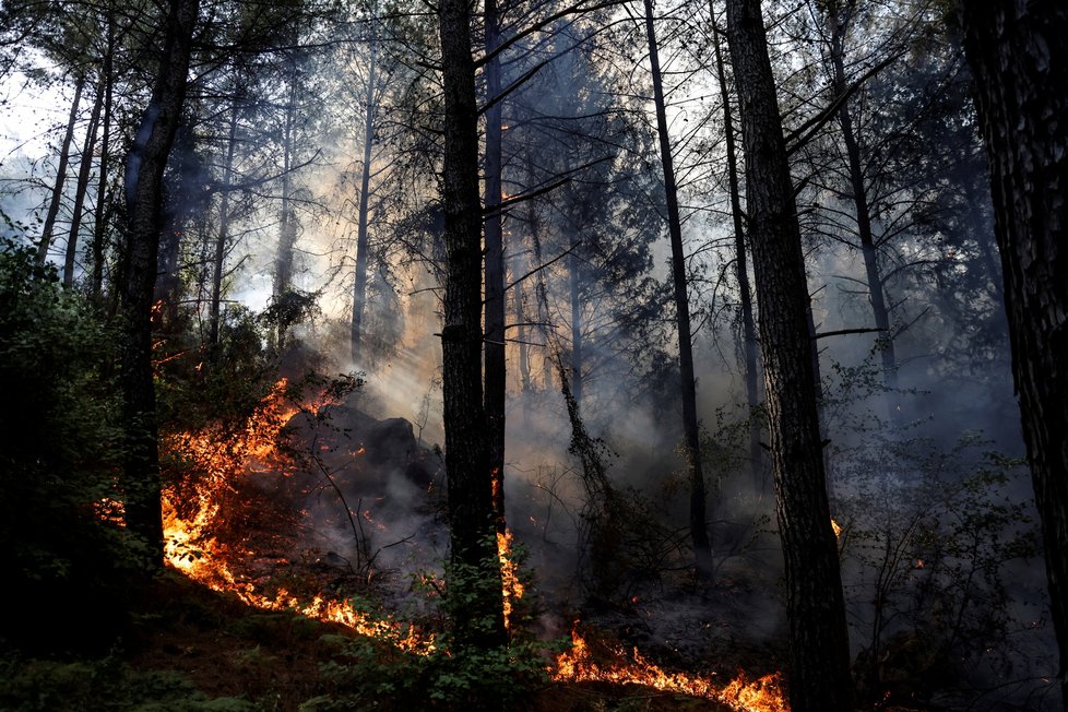 Turecko sužují rozsáhlé požáry (31.7.2021)