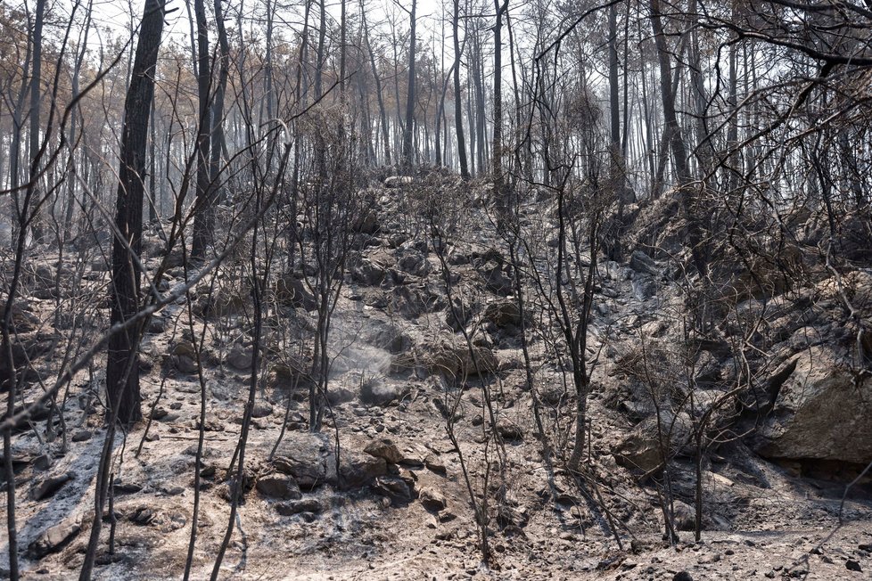 Turecko sužují rozsáhlé požáry (31. 7. 2021).