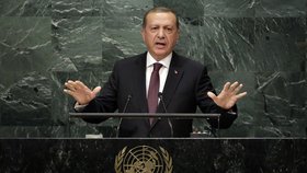 Turecká invaze do Sýrie přinesla stabilitu a mír, řekl Erdogan.